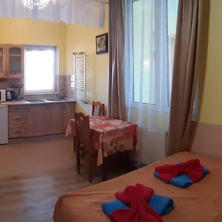 Guest house Hercules Truskavets