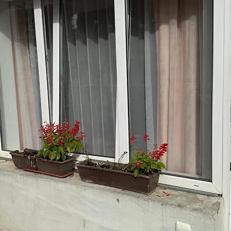 Hercules Guest house